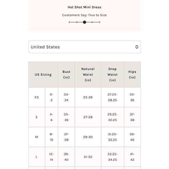 FP Movement Free People Hot Shot Mini Dress NWT Size L - Picture 15 of 15